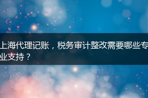 上海代理记账，税务审计整改需要哪些专业支持？