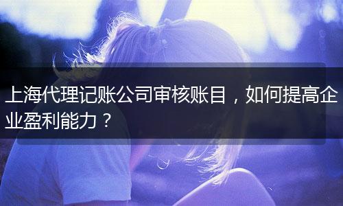 上海代理记账公司审核账目，如何提高企业盈利能力？