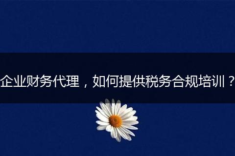 企业财务代理，如何提供税务合规培训？