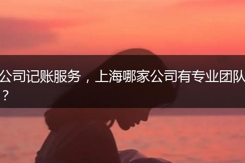 公司记账服务，上海哪家公司有专业团队？
