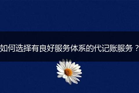 如何选择有良好服务体系的代记账服务？