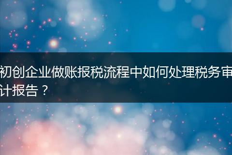 初创企业做账报税流程中如何处理税务审计报告？