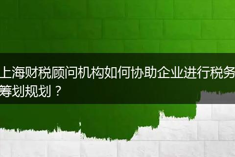 上海财税顾问机构如何协助企业进行税务筹划规划？
