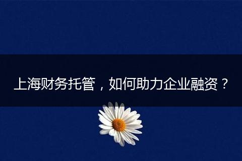 上海财务托管，如何助力企业融资？