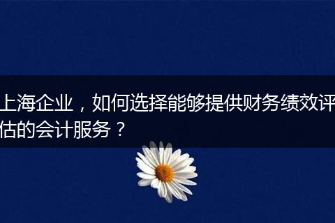 上海企业，如何选择能够提供财务绩效评估的会计服务？