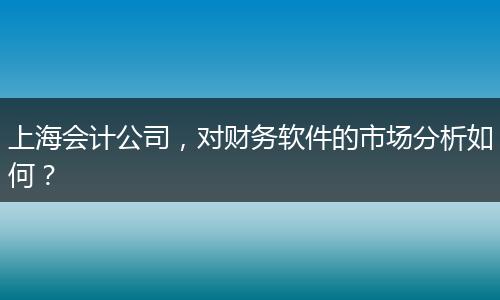 上海会计公司，对财务软件的市场分析如何？