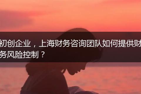 初创企业，上海财务咨询团队如何提供财务风险控制？