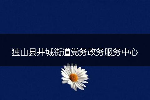 独山县井城街道党务政务服务中心