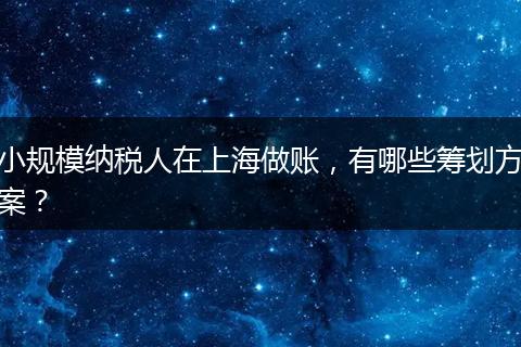 小规模纳税人在上海做账，有哪些筹划方案？