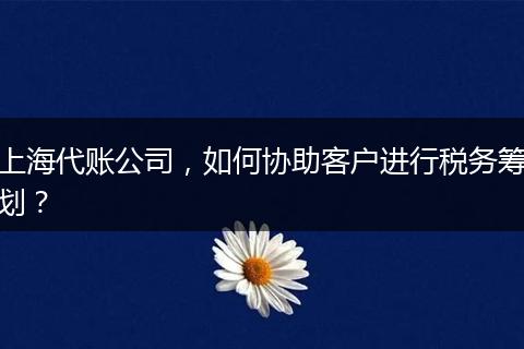 上海代账公司，如何协助客户进行税务筹划？