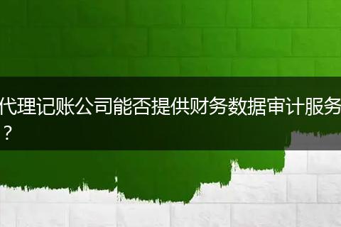 代理记账公司能否提供财务数据审计服务？