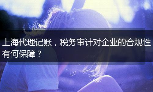 上海代理记账，税务审计对企业的合规性有何保障？