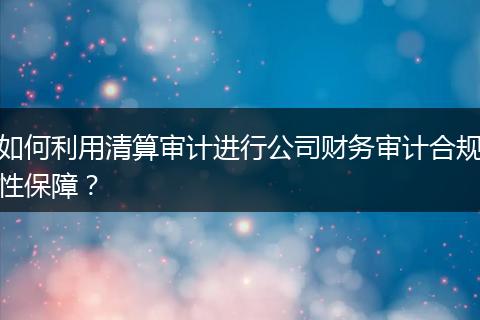 如何利用清算审计进行公司财务审计合规性保障？