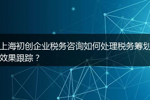 上海初创企业税务咨询如何处理税务筹划效果跟踪？