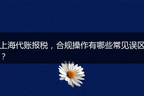 上海代账报税，合规操作有哪些常见误区？