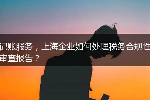 记账服务，上海企业如何处理税务合规性审查报告？