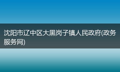 沈阳市辽中区大黑岗子镇人民政府(政务服务网)