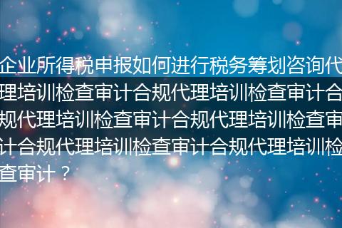 企业所得税申报如何进行税务筹划咨询代理培训检查审计合规代理培训检查审计合规代理培训检查审计合规代理培训检查审计合规代理培训检查审计合规代理培训检查审计？