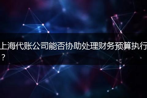 上海代账公司能否协助处理财务预算执行？