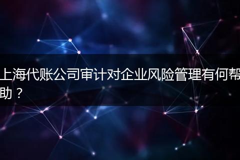 上海代账公司审计对企业风险管理有何帮助？