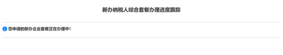 青海省电子税务局新办纳税人综合套餐操作流程说明