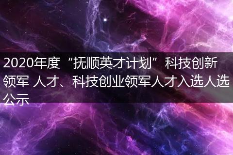 2020年度“抚顺英才计划”科技创新领军 人才、科技创业领军人才入选人选公示
