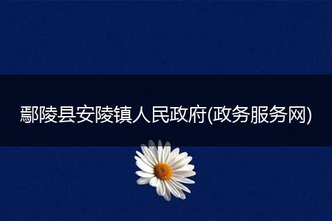 鄢陵县安陵镇人民政府(政务服务网)