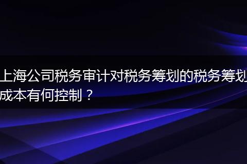 上海公司税务审计对税务筹划的税务筹划成本有何控制？