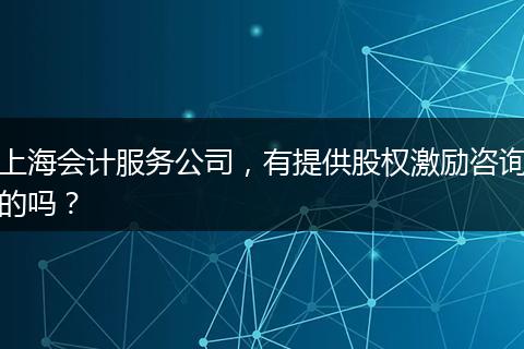 上海会计服务公司，有提供股权激励咨询的吗？