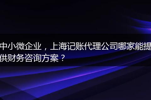 中小微企业，上海记账代理公司哪家能提供财务咨询方案？