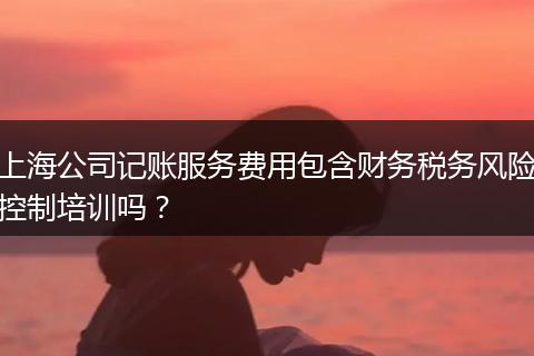 上海公司记账服务费用包含财务税务风险控制培训吗？