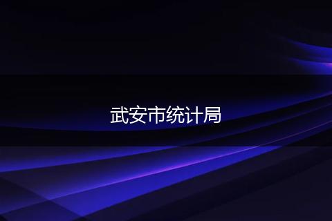武安市统计局