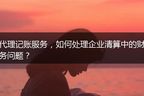 代理记账服务，如何处理企业清算中的财务问题？
