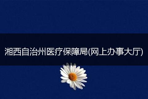 湘西自治州医疗保障局(网上办事大厅)