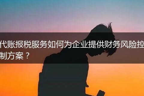 代账报税服务如何为企业提供财务风险控制方案？