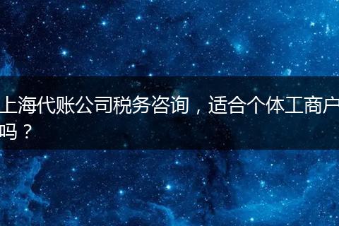 上海代账公司税务咨询，适合个体工商户吗？