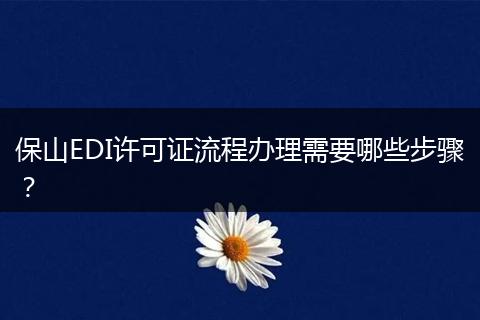 保山EDI许可证流程办理需要哪些步骤?