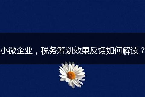 小微企业，税务筹划效果反馈如何解读？