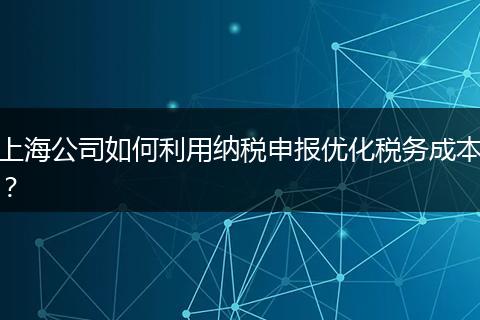 上海公司如何利用纳税申报优化税务成本？