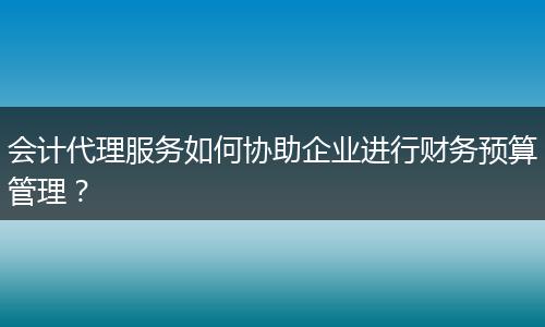 会计代理服务如何协助企业进行财务预算管理？