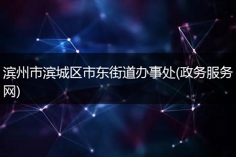 滨州市滨城区市东街道办事处(政务服务网)