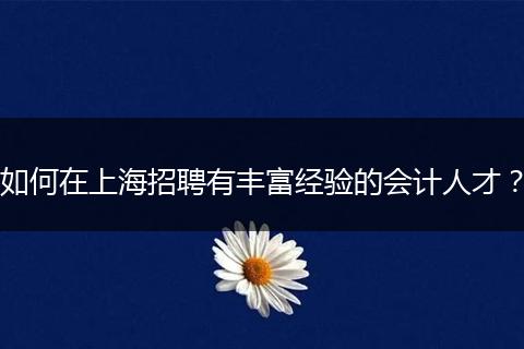 如何在上海招聘有丰富经验的会计人才？