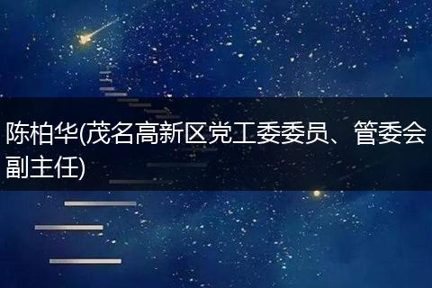 陈柏华(茂名高新区党工委委员、管委会副主任)