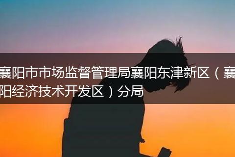襄阳市市场监督管理局襄阳东津新区（襄阳经济技术开发区）分局