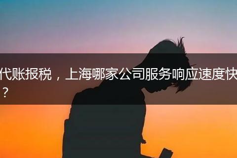 代账报税，上海哪家公司服务响应速度快？