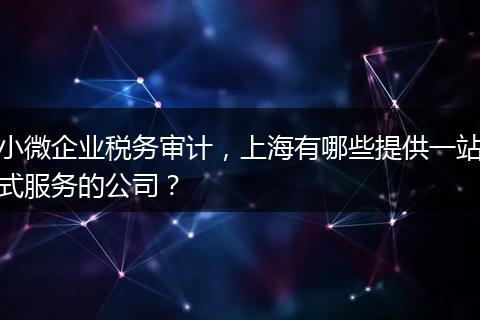 小微企业税务审计，上海有哪些提供一站式服务的公司？