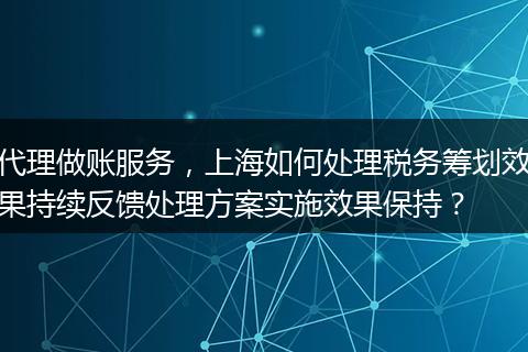 代理做账服务，上海如何处理税务筹划效果持续反馈处理方案实施效果保持？