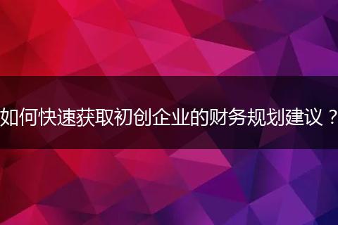 如何快速获取初创企业的财务规划建议？