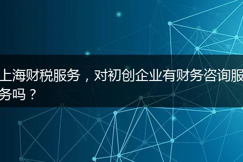 上海财税服务，对初创企业有财务咨询服务吗？