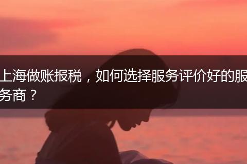 上海做账报税，如何选择服务评价好的服务商？